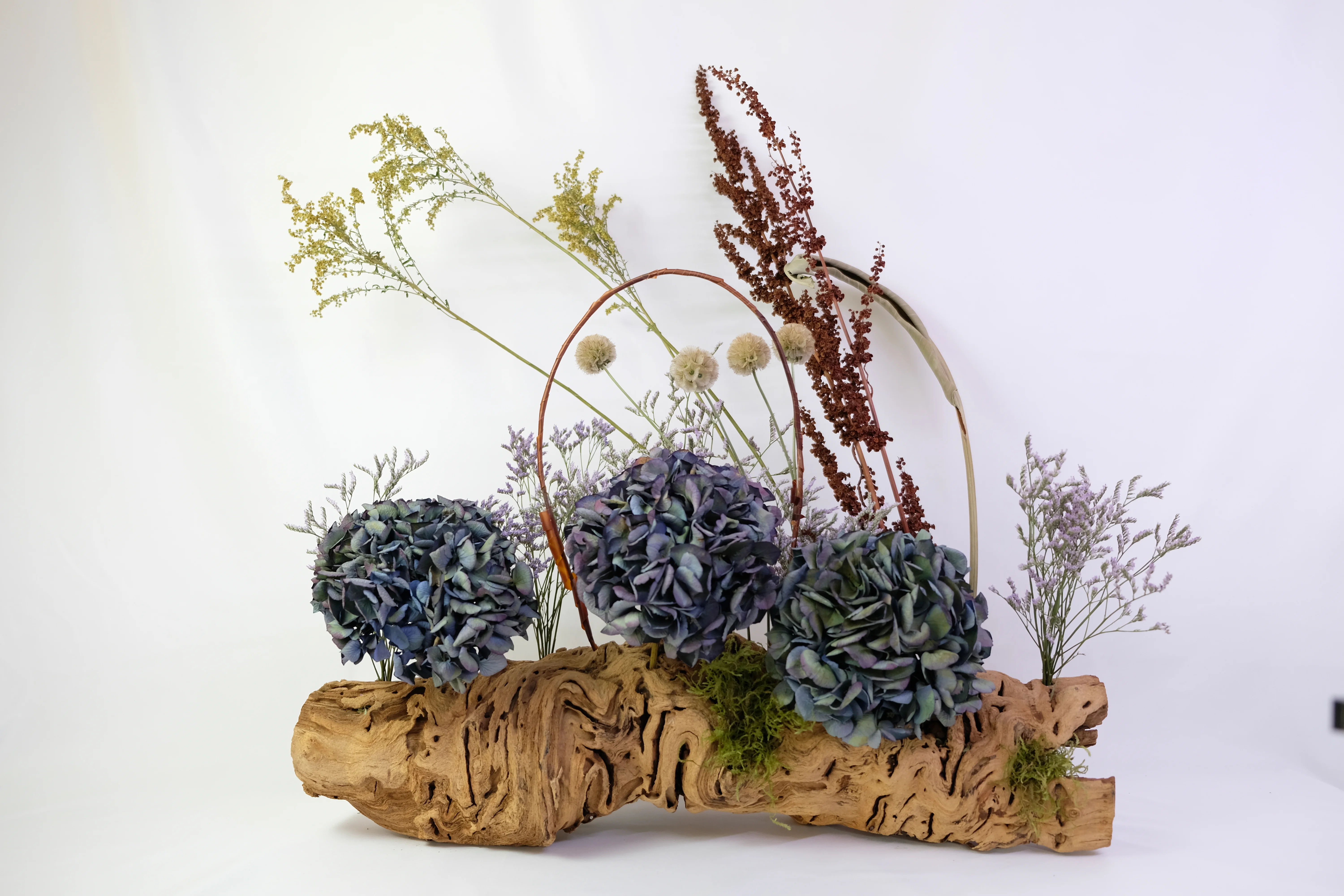 Enchanted Logs