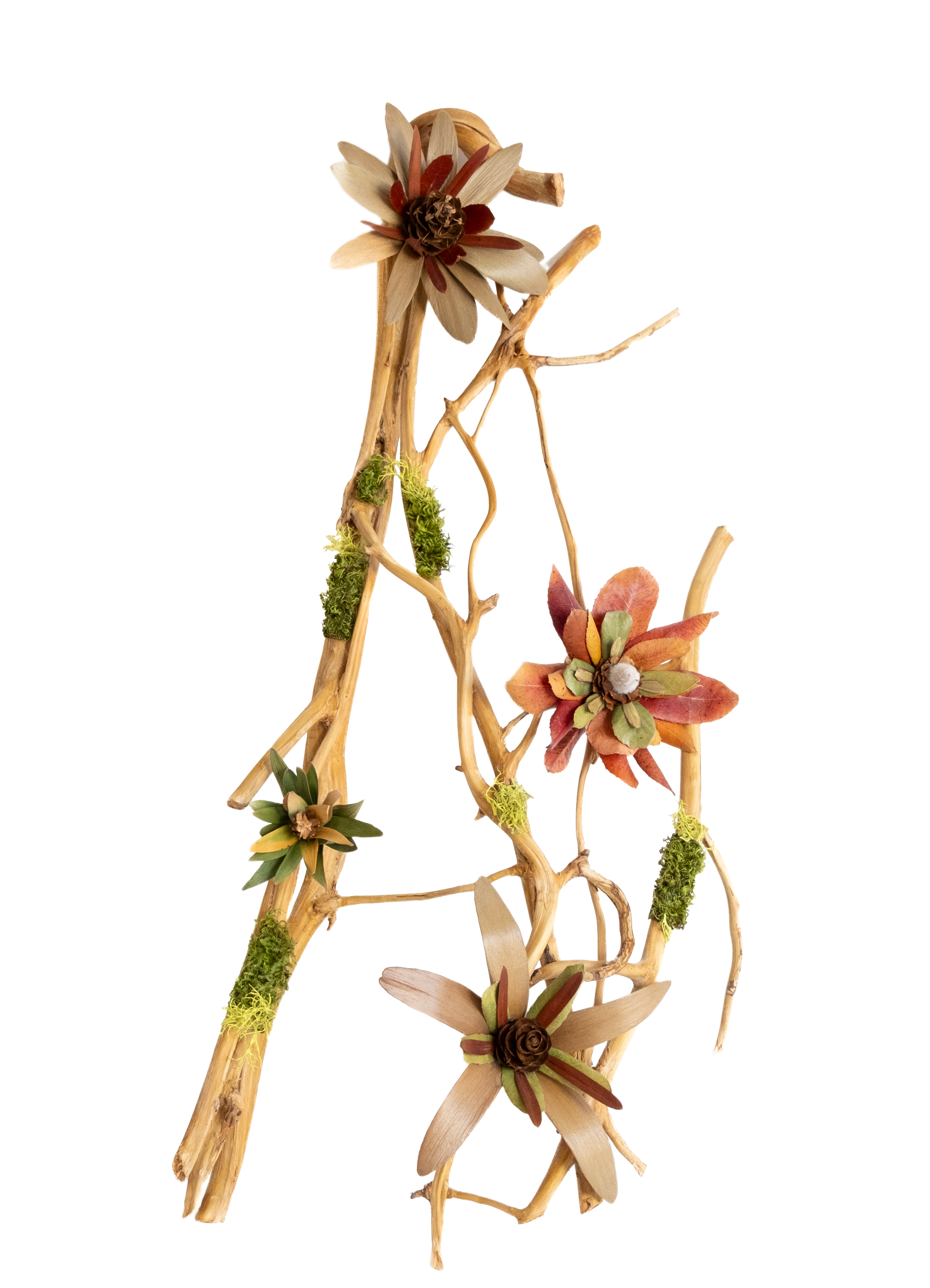 Teva Wonders botanical arrangement