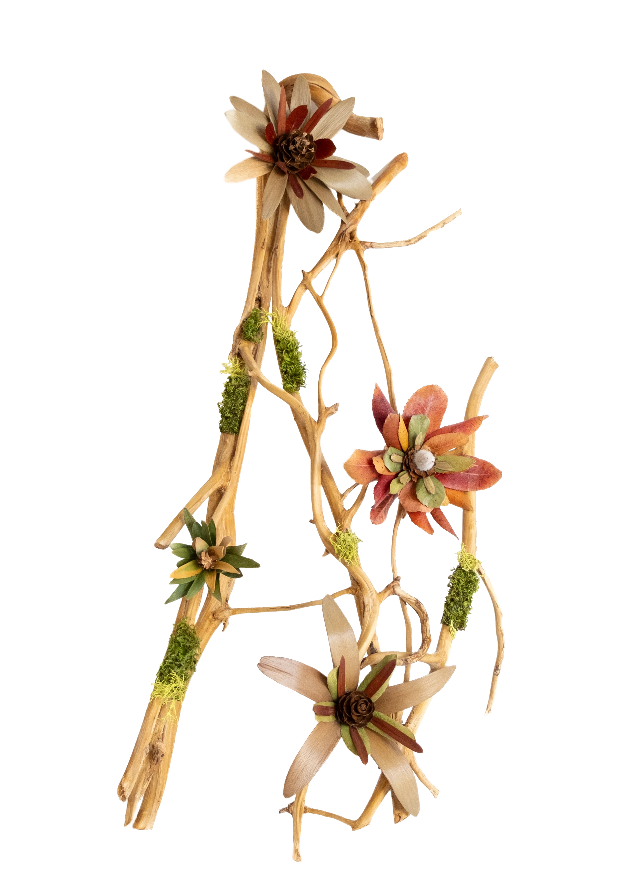 Teva Wonders botanical arrangement